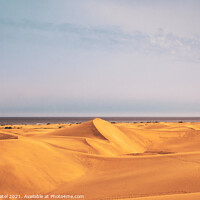 Buy canvas prints of Dunas de Maspalomas (Sand dunes of Maspalomas), Gran Canaria by Mehul Patel