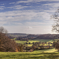 Buy canvas prints of Herefordshire Landscape by Steve Adams