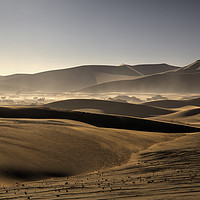 Buy canvas prints of Sand Dunes of Sossusvlei, Namibia by Steve Adams