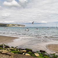 Buy canvas prints of Fishing boats at Swanage by Hayley Jewell