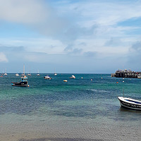 Buy canvas prints of Swanage Water Taxi by Hayley Jewell