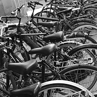Buy canvas prints of Row of bicycles black and white photography by Dragos Nicolae Dragomirescu