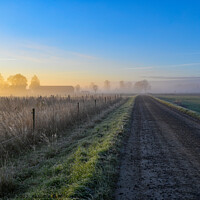 Buy canvas prints of sunrise over fields and gravel road a misty morning by Jonas Rönnbro