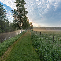 Buy canvas prints of Misty summer morning by Jonas Rönnbro