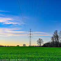 Buy canvas prints of green field and blue sky with electric cables by Jonas Rönnbro