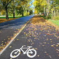 Buy canvas prints of bicycle painted on bicycle path in Hallabrottet Kumla Sweden by Jonas Rönnbro