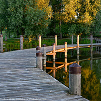 Buy canvas prints of wooden bridge over water in beautiful park by Jonas Rönnbro