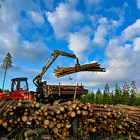 Buy canvas prints of Forest machine lifting timber to a pile of timber by Jonas Rönnbro