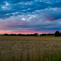 Buy canvas prints of Dramatic sunset over fields near Kumla Sweden by Jonas Rönnbro