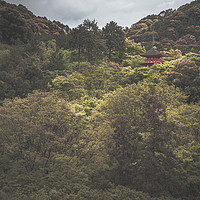 Buy canvas prints of Forest Pagoda by Elliott Griffiths