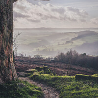 Buy canvas prints of Misty Valley by Elliott Griffiths