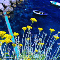 Buy canvas prints of Yellow flowers and the blue ocean - Amalfi Coast by Alessandro Ricardo Uva
