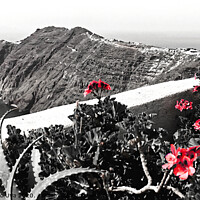 Buy canvas prints of red flowers at Santorini by Alessandro Ricardo Uva