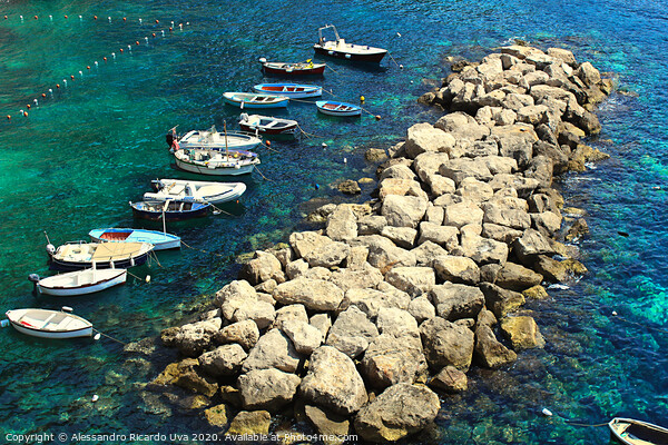 Small Boats at Amalfi Coast - Conca dei Marini bea Picture Board by Alessandro Ricardo Uva