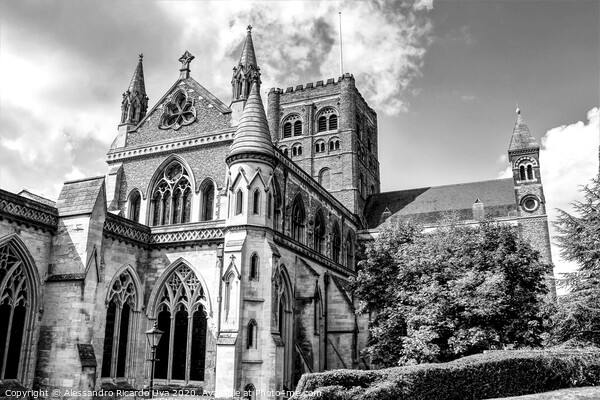 St Albans cathedral Picture Board by Alessandro Ricardo Uva