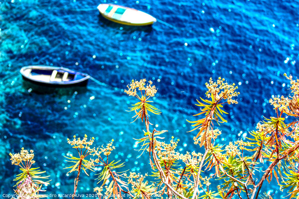 Small wooden boats - Amalfi Picture Board by Alessandro Ricardo Uva