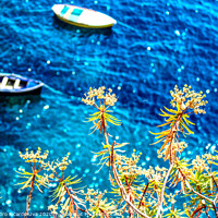 Buy canvas prints of Small wooden boats - Amalfi by Alessandro Ricardo Uva