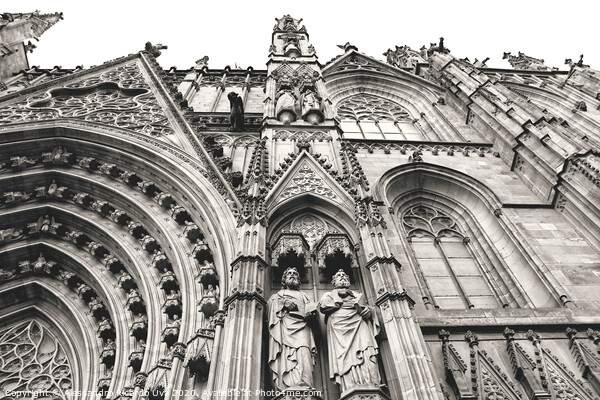 Barcelona cathedral Picture Board by Alessandro Ricardo Uva