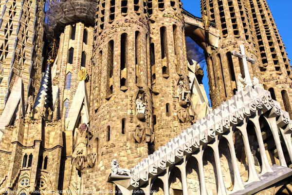 La Sagrada Familia - Barcelona Picture Board by Alessandro Ricardo Uva