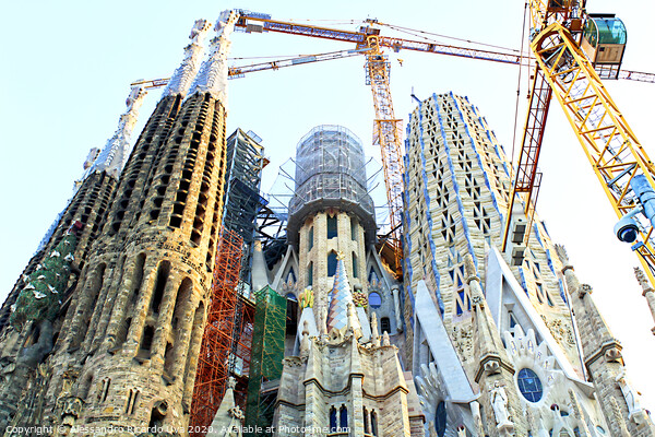 La Sagrada Família - Barcelona Picture Board by Alessandro Ricardo Uva