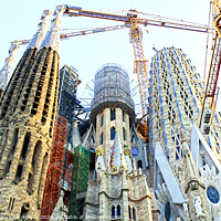 Buy canvas prints of La Sagrada Família - Barcelona by Alessandro Ricardo Uva