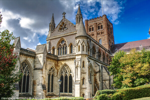 St Albans Cathedral  Picture Board by Alessandro Ricardo Uva