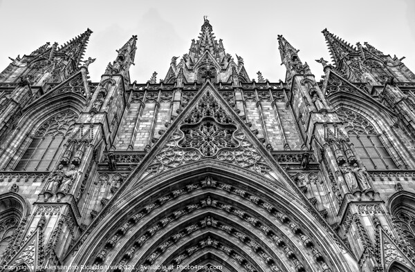 Barcelona cathedral Picture Board by Alessandro Ricardo Uva