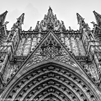 Buy canvas prints of Barcelona cathedral by Alessandro Ricardo Uva
