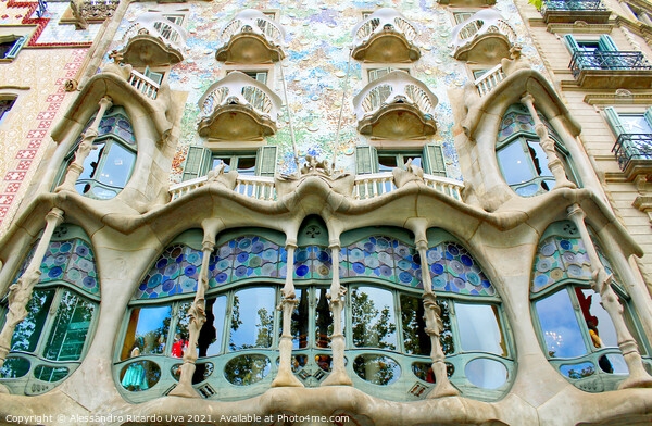 Casa Batlló - Barcelona Picture Board by Alessandro Ricardo Uva