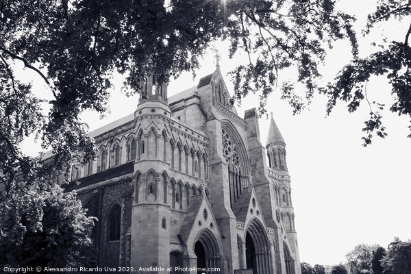St Albans - The Cathedral & Abbey Church of Saint Alban Picture Board by Alessandro Ricardo Uva