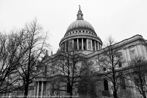 St Paul's Cathedral Picture Board by Alessandro Ricardo Uva