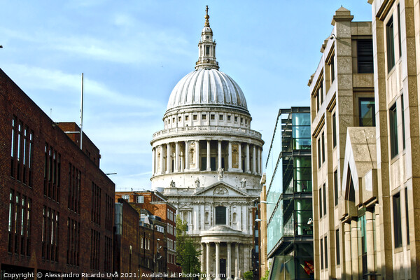 St Paul's Cathedral Picture Board by Alessandro Ricardo Uva
