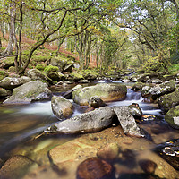 Buy canvas prints of River Plym in Dewerstone Woods by Richard GarveyWilliams