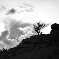 Buy canvas prints of Chinkwell Tor Silhouette by Richard GarveyWilliams