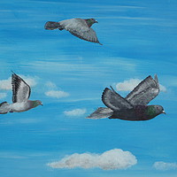 Buy canvas prints of Three Pigeons by Steve Boston