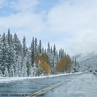 Buy canvas prints of from Banff to Jasper in the Canadian Rockies by Brenda Belcher