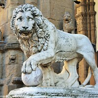 Buy canvas prints of Florence, Tuscany, Italy: ancient statue of a lion in Piazza della Signoria, sculpture that depicts a lion with a sphere under one paw by M. J. Photography
