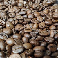 Buy canvas prints of A close up look on fresh coffee beans by M. J. Photography