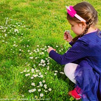 Buy canvas prints of A little girl that is standing in the grass and picking flowers by M. J. Photography