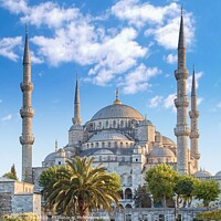 Buy canvas prints of Sultan Ahmed Mosque or The Blue Mosque in Istanbul  by M. J. Photography