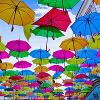 Buy canvas prints of A colorful umbrella by M. J. Photography