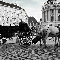 Buy canvas prints of Vienna street attraction, romantically horse-drawn by M. J. Photography