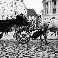Buy canvas prints of Vienna street attraction, horse-drawn carriage thr by M. J. Photography