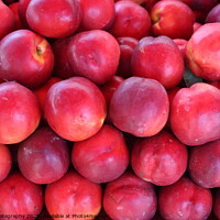 Buy canvas prints of Apples by M. J. Photography