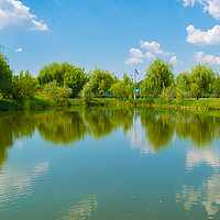 Buy canvas prints of water lake reflection of green willow trees by Florin Brezeanu