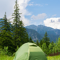 Buy canvas prints of one green tent installed in the wild mountains by Florin Brezeanu