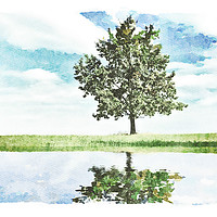 Buy canvas prints of Lonely tree by the pond by Wdnet Studio