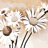 Buy canvas prints of Blooming bouquet of daisies by Wdnet Studio