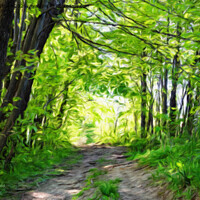 Buy canvas prints of Impressionist forest and path in the sun by Wdnet Studio