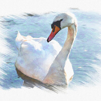 Buy canvas prints of Lonely swan on lake water by Wdnet Studio